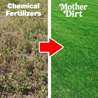Soil Revival Formula
